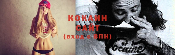 стаф Алексин