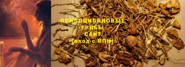 стаф Алексин