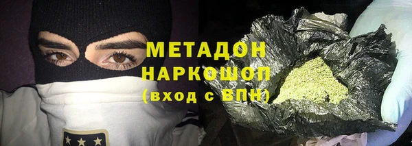 стаф Алексин