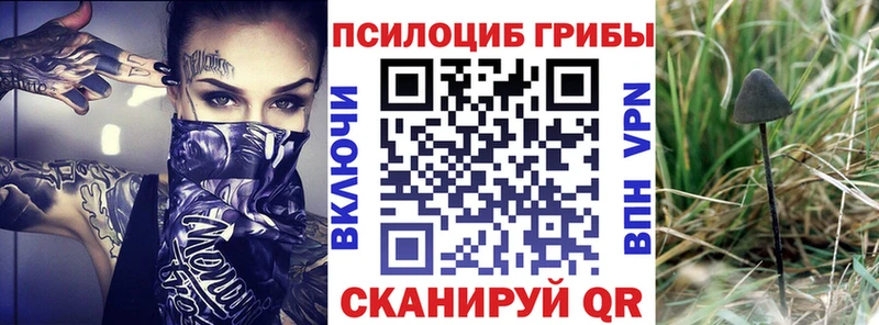 Галлюциногенные грибы Psilocybine cubensis  маркетплейс официальный сайт  Козловка  гидра сайт 